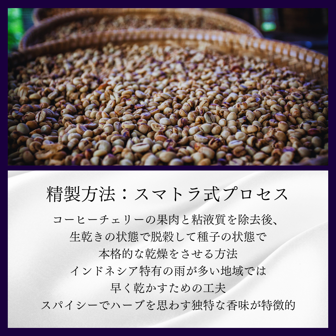 インドネシア スマトラマンデリン タノバタック(深煎り) / 100g