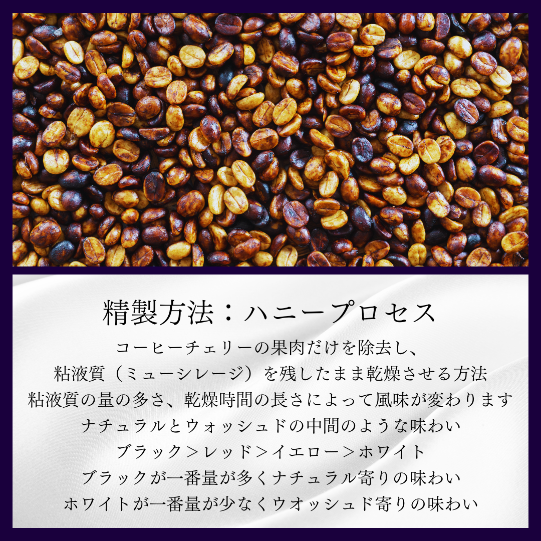 コスタリカ ハニー(中浅煎り)/ 100g