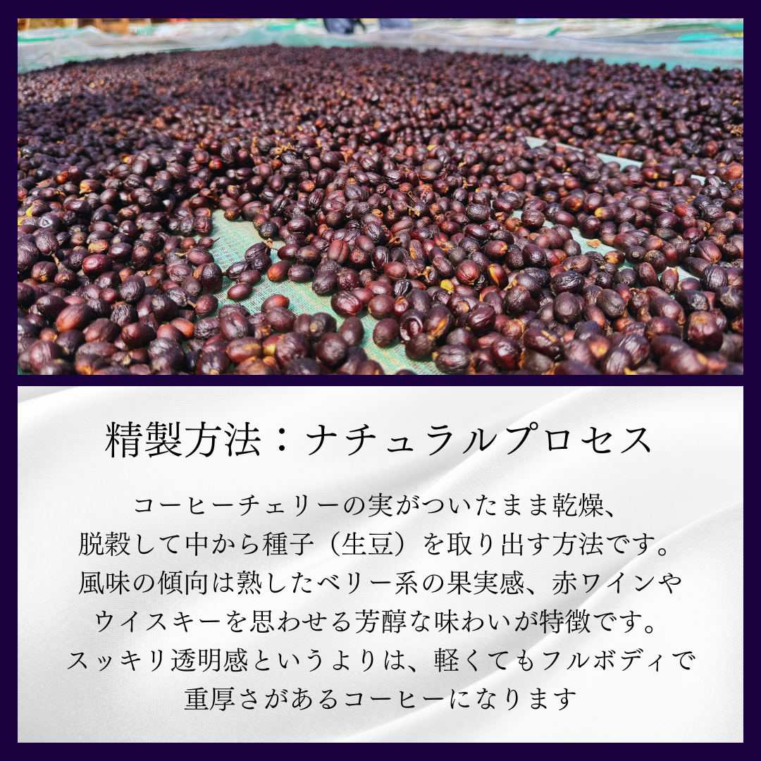 イエメン モカ・ハラーズ (中煎り)/ 100g